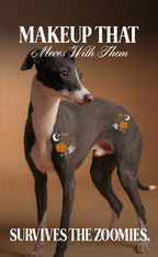 Spooky Speckles Pet Patches